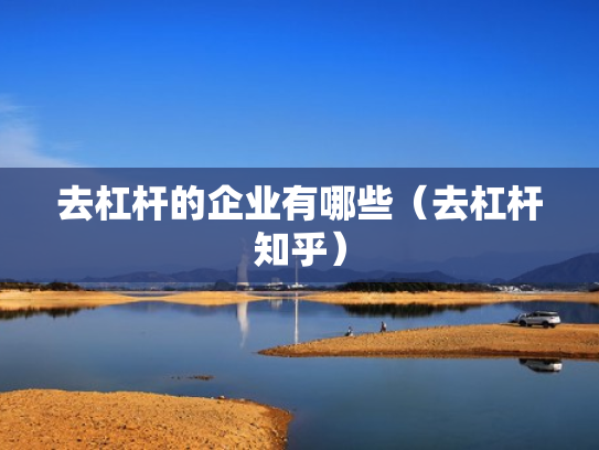 去杠杆的企业有哪些（去杠杆知乎）
