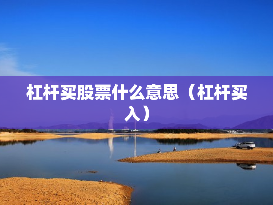 杠杆买股票什么意思（杠杆买入）