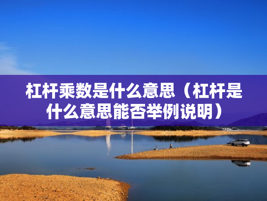 杠杆乘数是什么意思（杠杆是什么意思能否举例说明）