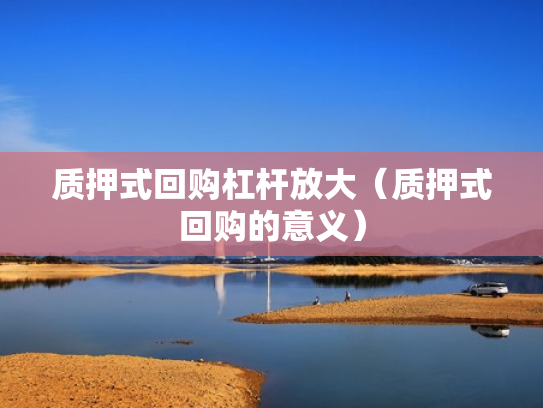 质押式回购杠杆放大（质押式回购的意义）