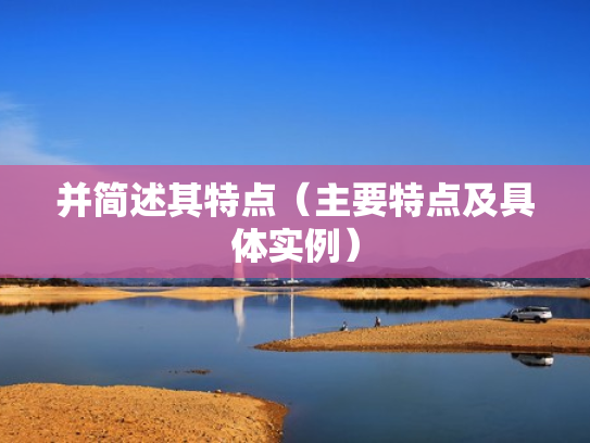 并简述其特点（主要特点及具体实例）