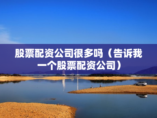 股票配资公司很多吗（告诉我一个股票配资公司）