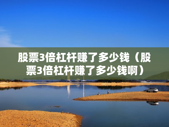 股票3倍杠杆赚了多少钱（股票3倍杠杆赚了多少钱啊）