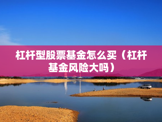 杠杆型股票基金怎么买（杠杆基金风险大吗）