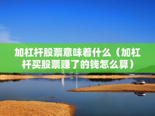 加杠杆股票意味着什么（加杠杆买股票赚了的钱怎么算）