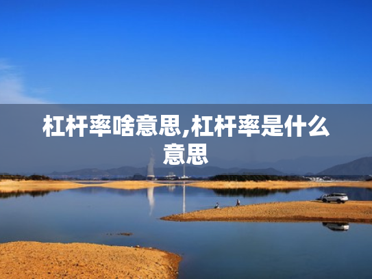 杠杆率啥意思,杠杆率是什么意思