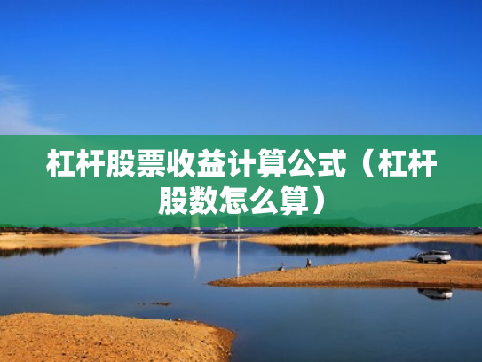 杠杆股票收益计算公式（杠杆股数怎么算）