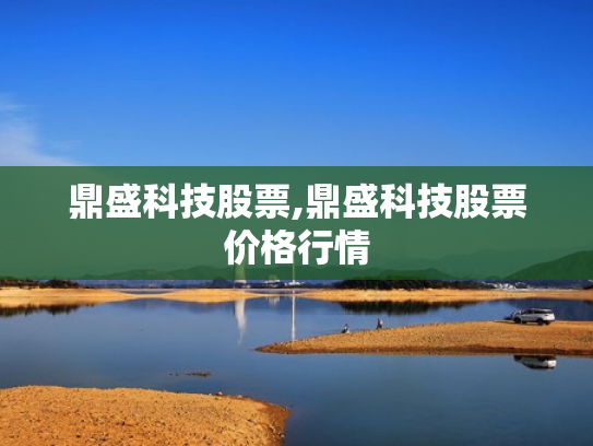 鼎盛科技股票,鼎盛科技股票价格行情