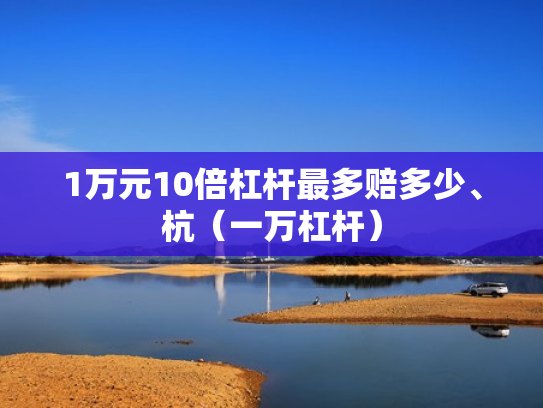 1万元10倍杠杆最多赔多少、杭（一万杠杆）