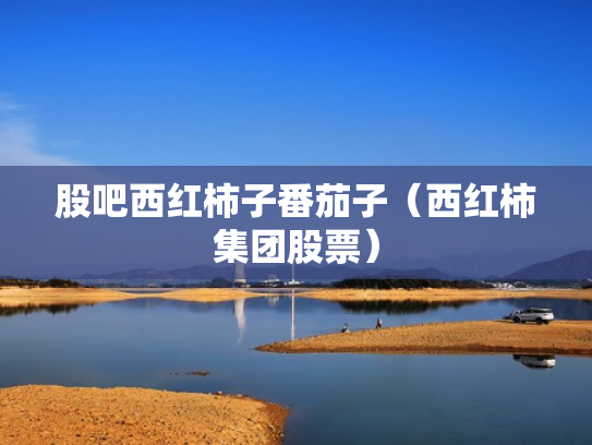 股吧西红柿子番茄子（西红柿集团股票）