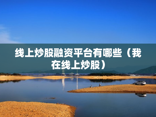 线上炒股融资平台有哪些（我在线上炒股）