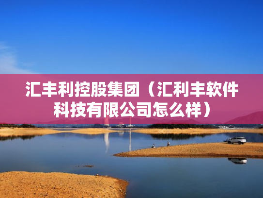 汇丰利控股集团（汇利丰软件科技有限公司怎么样）