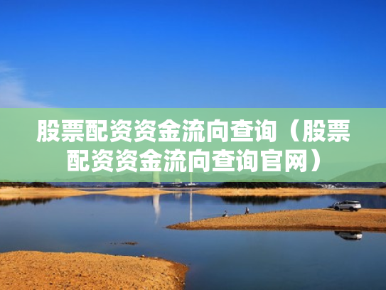 股票配资资金流向查询（股票配资资金流向查询官网）