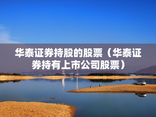 华泰证券持股的股票（华泰证券持有上市公司股票）