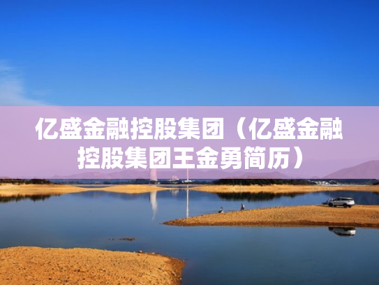 亿盛金融控股集团（亿盛金融控股集团王金勇简历）