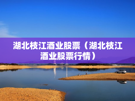 湖北枝江酒业股票（湖北枝江酒业股票行情）