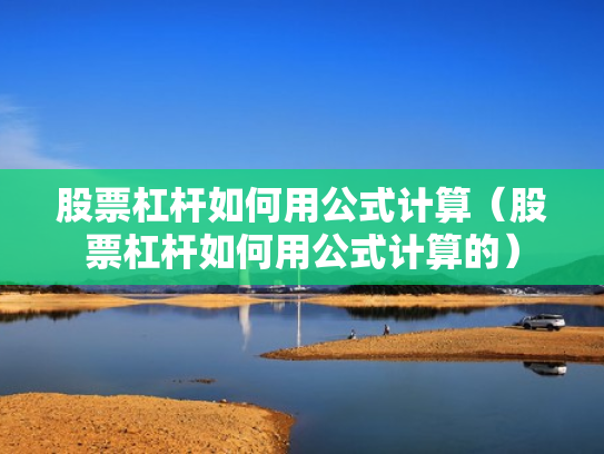 股票杠杆如何用公式计算（股票杠杆如何用公式计算的）