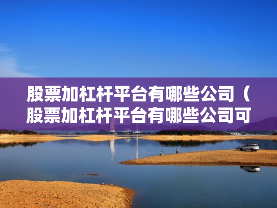 股票加杠杆平台有哪些公司（股票加杠杆平台有哪些公司可以参与）