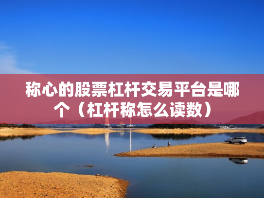 称心的股票杠杆交易平台是哪个（杠杆称怎么读数）
