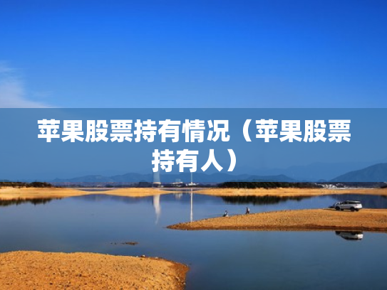 苹果股票持有情况（苹果股票持有人）