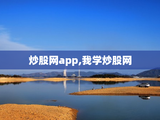 炒股网app,我学炒股网