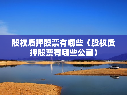 股权质押股票有哪些（股权质押股票有哪些公司）