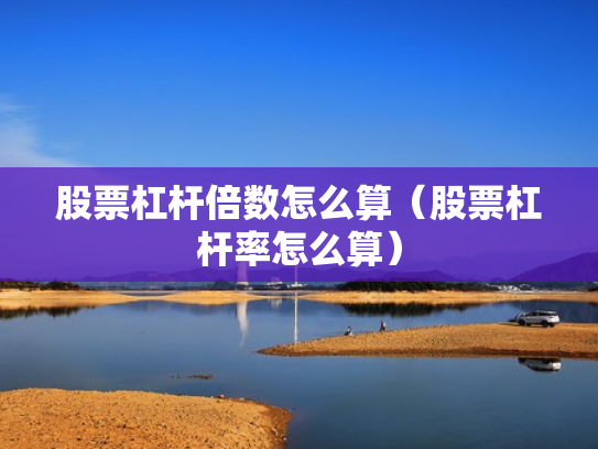 股票杠杆倍数怎么算（股票杠杆率怎么算）