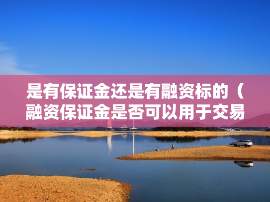 是有保证金还是有融资标的（融资保证金是否可以用于交易）