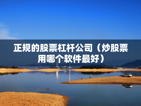 正规的股票杠杆公司（炒股票用哪个软件最好）