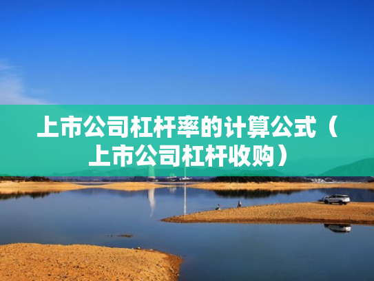 上市公司杠杆率的计算公式（上市公司杠杆收购）