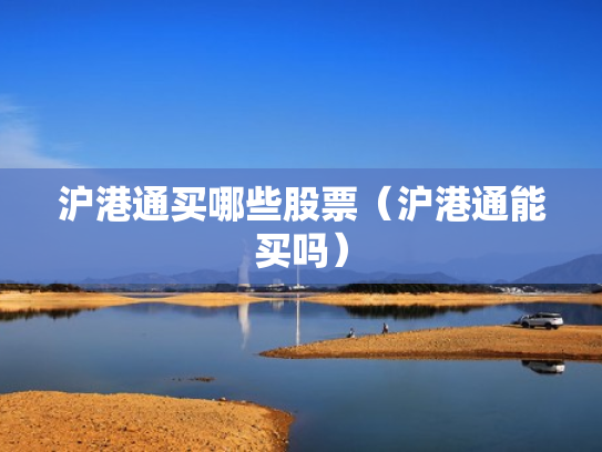 沪港通买哪些股票（沪港通能买吗）