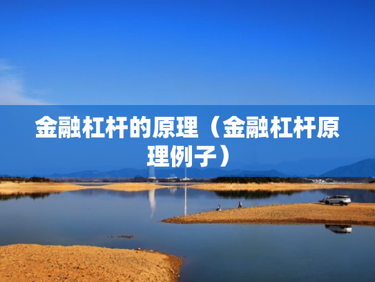 金融杠杆的原理（金融杠杆原理例子）