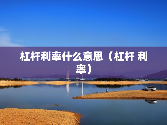 杠杆利率什么意思（杠杆 利率）