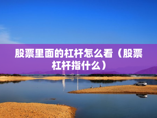股票里面的杠杆怎么看（股票杠杆指什么）
