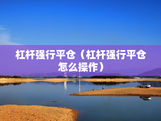 杠杆强行平仓（杠杆强行平仓怎么操作）