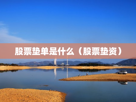 股票垫单是什么（股票垫资）