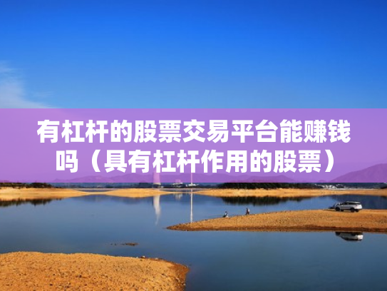 有杠杆的股票交易平台能赚钱吗（具有杠杆作用的股票）