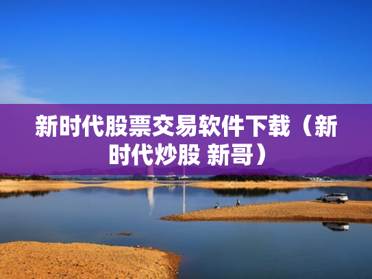 新时代股票交易软件下载（新时代炒股 新哥）