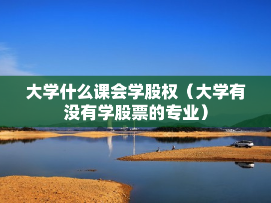 大学什么课会学股权（大学有没有学股票的专业）
