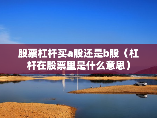 股票杠杆买a股还是b股（杠杆在股票里是什么意思）