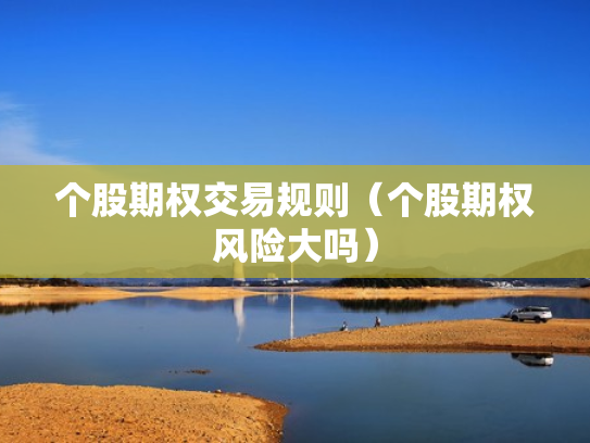 个股期权交易规则（个股期权风险大吗）