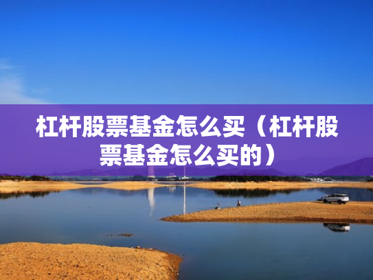 杠杆股票基金怎么买（杠杆股票基金怎么买的）