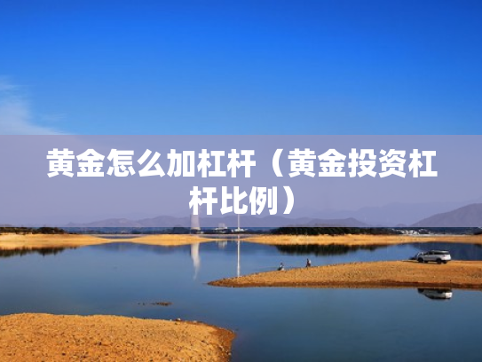 黄金怎么加杠杆（黄金投资杠杆比例）