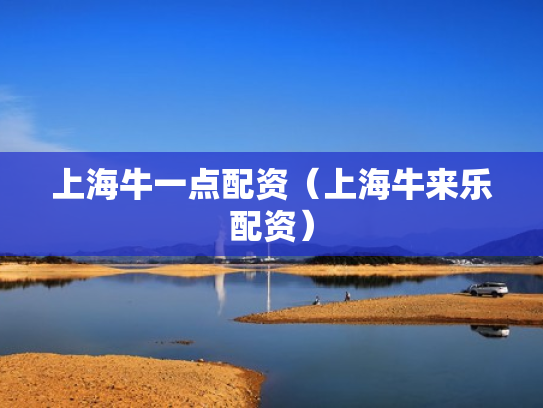 上海牛一点配资（上海牛来乐配资）