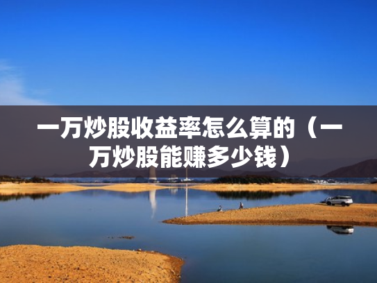 一万炒股收益率怎么算的（一万炒股能赚多少钱）