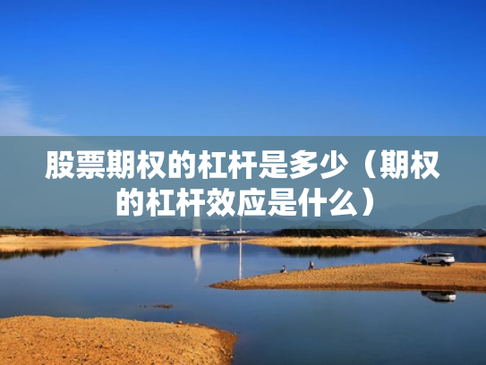 股票期权的杠杆是多少（期权的杠杆效应是什么）
