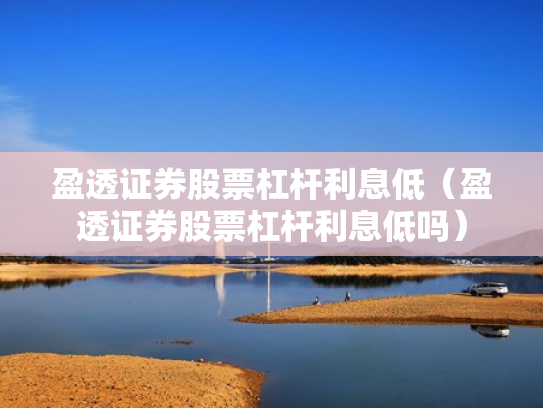 盈透证券股票杠杆利息低（盈透证券股票杠杆利息低吗）