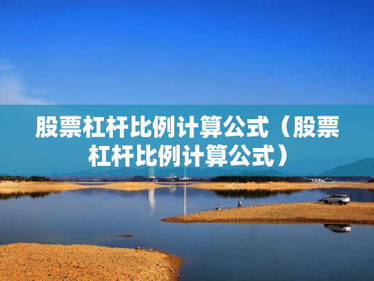 股票杠杆比例计算公式（股票杠杆比例计算公式）