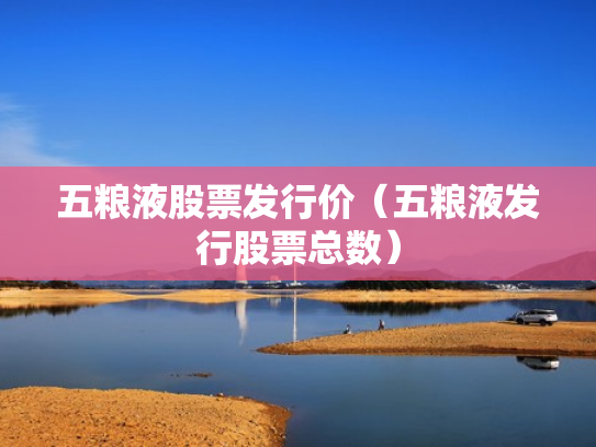 五粮液股票发行价（五粮液发行股票总数）