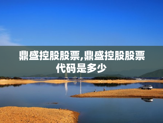 鼎盛控股股票,鼎盛控股股票代码是多少